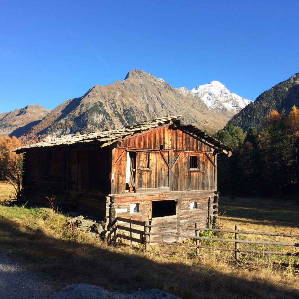 SpeckknГ¶del Г¶sterreich SpeckknГ¶del Г¶sterreich