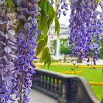 Salzburg mit Kindern