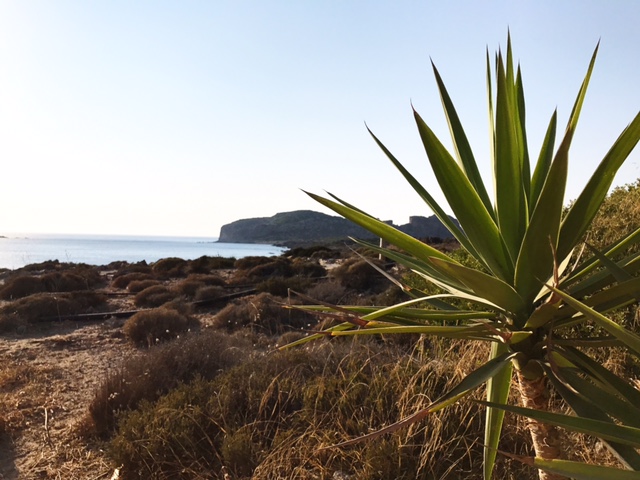 29+ Portugal Strandurlaub Wohin PNG