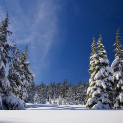 Wintersportarten mit der Familie