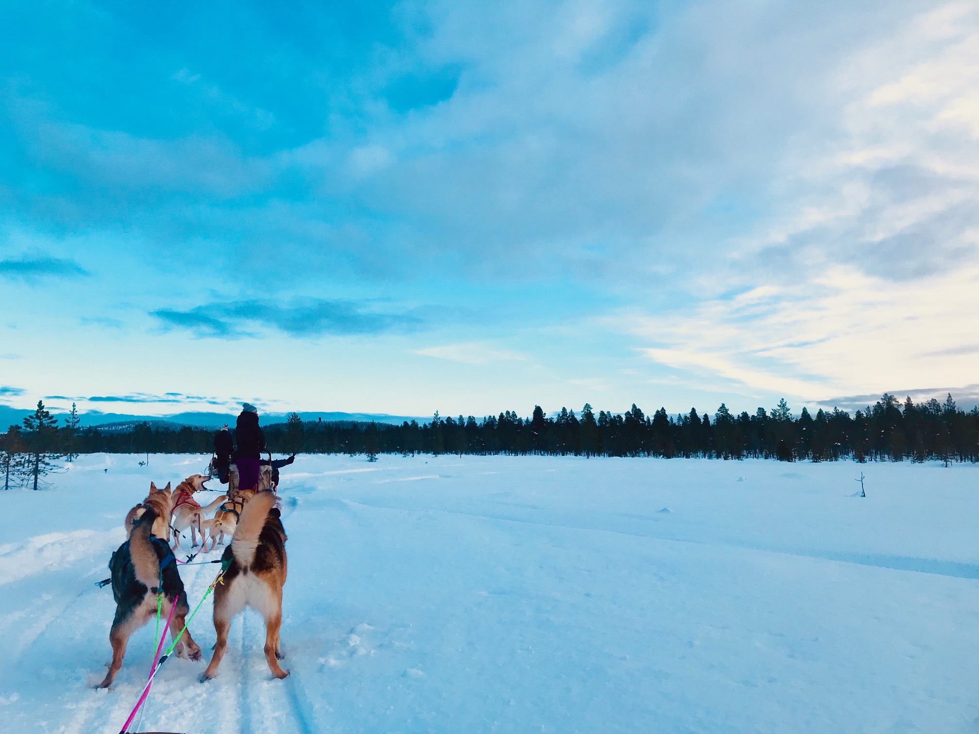 Unsere Reise nach Lappland im Winter die letzte Wildnis Europas