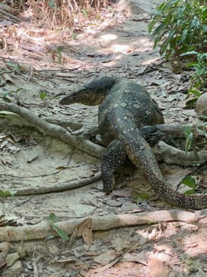 Koh Ngai mit Kindern