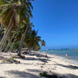 Dominikanische Republik - unsere Tipps