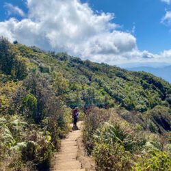 Doi Inthanon Nationalpark