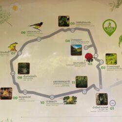 Doi Inthanon Nationalpark