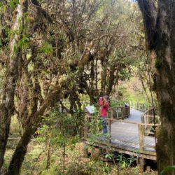 Doi Inthanon Nationalpark