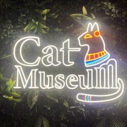 Katzenmuseum Budapest mit Kindern